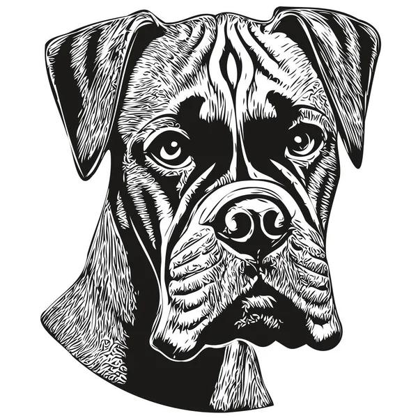Boxer Hond Logo Hand Getrokken Lijn Kunst Vector Tekening Zwart — Stockvector
