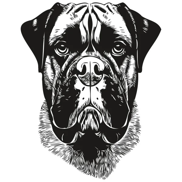 Boxer Hond Vector Illustratie Met Hand Getrokken Lijn Kunst Huisdieren — Stockvector