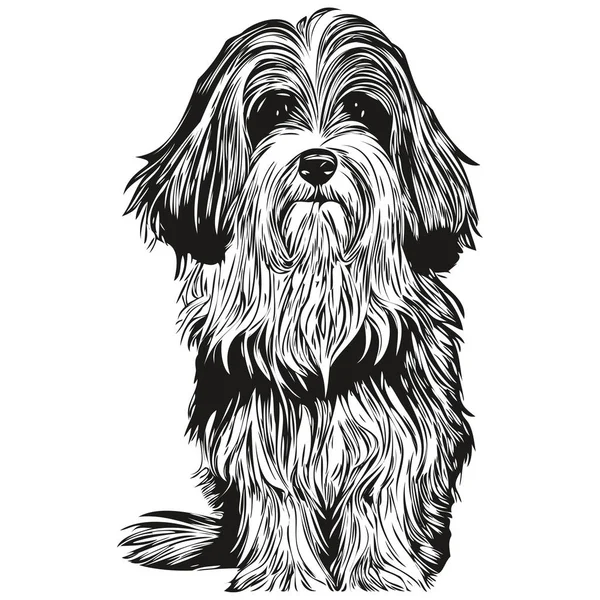 Havanese Dog Vector Illustration Hand Drawn Line Art Pets Logo — Stock Vector