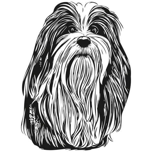 Гаванська Собака Векторна Ілюстрація Намальована Лінія Мистецтва Домашніх Тварин Логотип — стоковий вектор