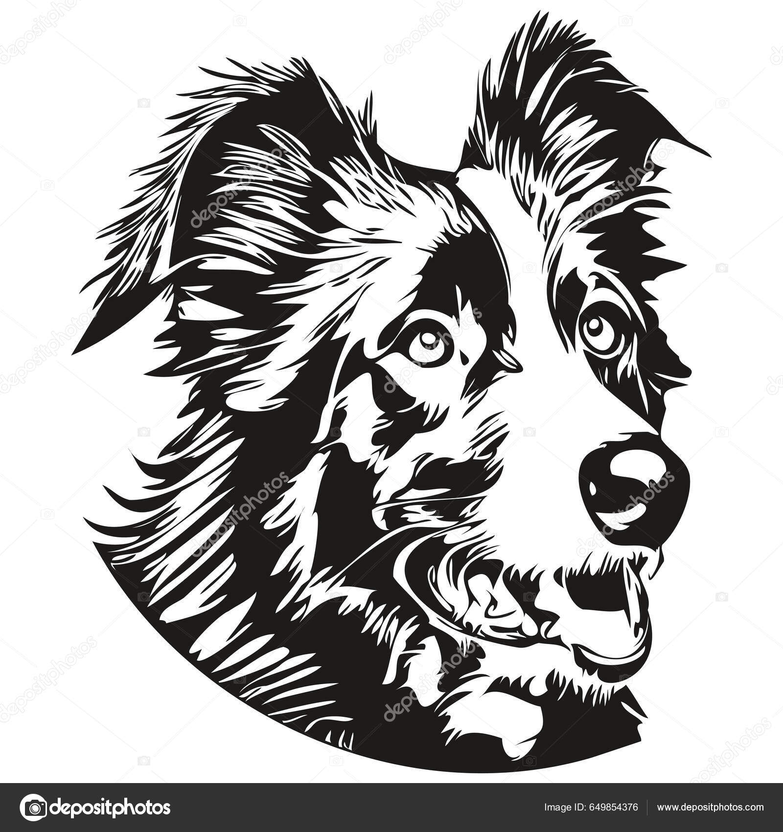 Border Collies Perro Dibujado Mano Vector Línea Arte Dibujo Negro Vector de  stock #649854376 de ©svetomircomua, image size:1600x1700