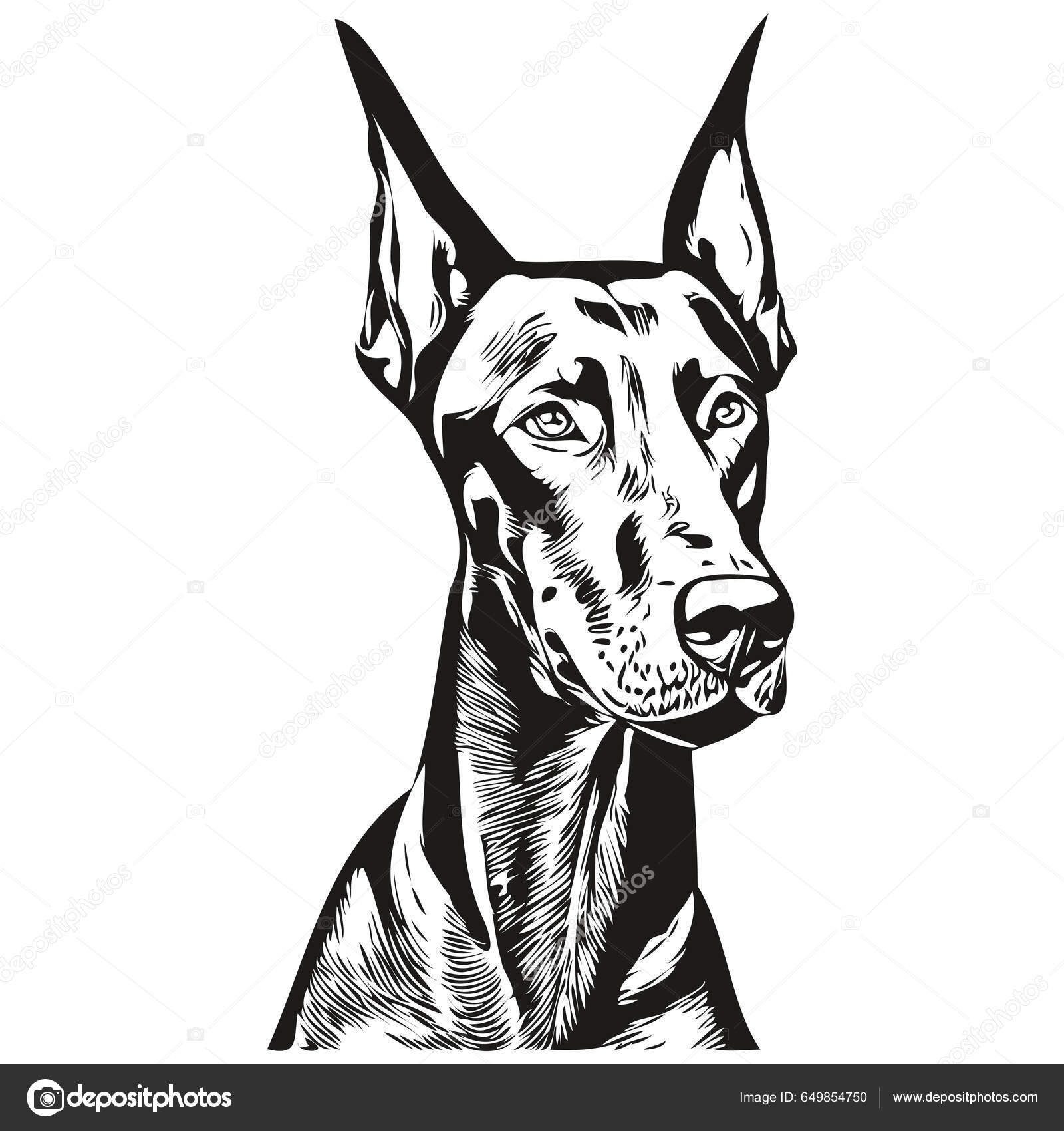 Doberman Pinschers Chien Noir Blanc Vecteur Logo Ligne Art Dessin