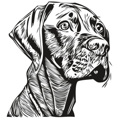 Vizslas 'ın köpek eli logo çizilmiş sanat vektörü siyah ve beyaz evcil hayvan çizimi çiziyor.
