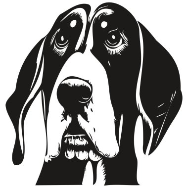 Basset Hound köpek el çizimi vektör çizgisi siyah-beyaz logo hayvanları çizimi