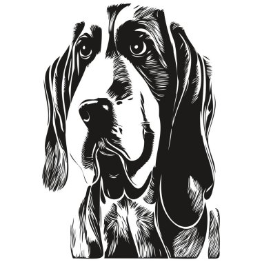 Basset Hound köpek el çizimi vektör çizgisi siyah-beyaz logo hayvanları çizimi