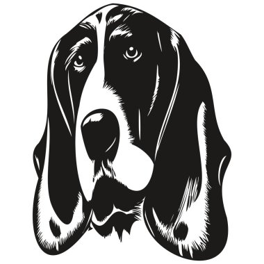 Basset Hound köpek logosu çizilmiş sanat vektörü siyah ve beyaz evcil hayvan illüstrasyonu çiziyor
