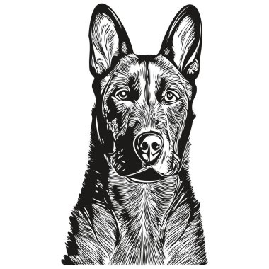 Belçika 'nın Malinois köpek eli çizilmiş sanat vektörü siyah beyaz logo hayvanları grafiği çiziyor