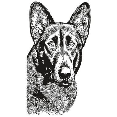 Belçika Malinois köpek çizgisi sanat el çizimi vektör logosu siyah ve beyaz evcil hayvan illüstrasyonu