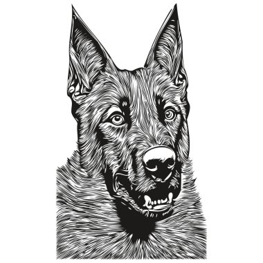 Belçika Malinois köpek çizgisi sanat el çizimi vektör logosu siyah ve beyaz evcil hayvan illüstrasyonu