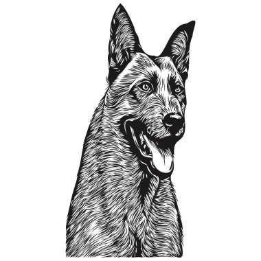 Belçika Malinois köpek logosu çizilmiş çizgili sanat vektörü siyah beyaz evcil hayvan illüstrasyonu