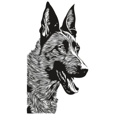 Belçika Malinois köpek logosu çizilmiş çizgili sanat vektörü siyah beyaz evcil hayvan illüstrasyonu