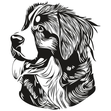 Bernese Dağı köpek eli çizilmiş sanat vektörü siyah beyaz logo hayvanları çizimi