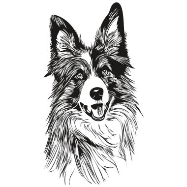 Border Collies dog hand drawn logo drawing black and white line art pets illustratio clipart