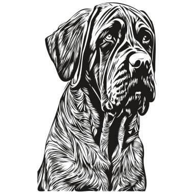 Cane Corso köpek siyah-beyaz vektör logosu, çizgili sanat el çizimi vektör hayvanları çizimi grafiği
