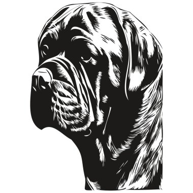 Cane Corso köpek el çizimi çizimi sanat vektörü siyah beyaz logo hayvanları grafiği