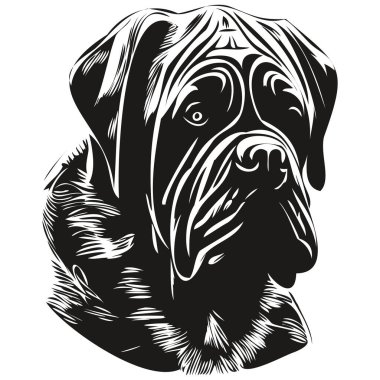 Cane Corso köpek çizgisi sanat el çizimi vektör logosu siyah ve beyaz evcil hayvan illüstrasyonu