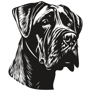 Cane Corso köpek çizgisi sanat el çizimi vektör logosu siyah ve beyaz evcil hayvan illüstrasyonu