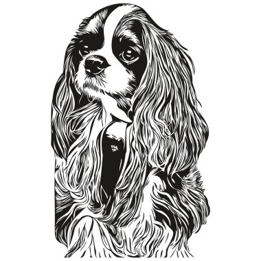 Şövalye Kral Charles Spaniels köpek eliyle çizilmiş sanat vektörü siyah beyaz logo hayvanları çiziyor.