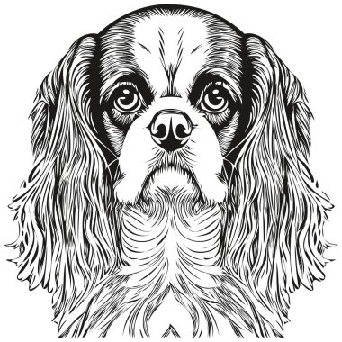 Şövalye Kral Charles Spaniels köpek eliyle çizilmiş sanat vektörü siyah beyaz logo hayvanları çiziyor.