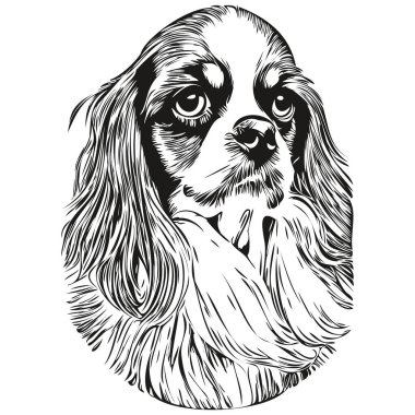 Şövalye Kral Charles Spaniels köpek çizgisi sanat el çizimi vektör logosu siyah ve beyaz evcil hayvan çizimi
