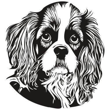Şövalye Kral Charles Spaniels köpek çizgisi sanat el çizimi vektör logosu siyah ve beyaz evcil hayvan çizimi