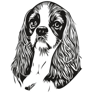 Şövalye Kral Charles Spaniels köpek çizgisi sanat el çizimi vektör logosu siyah ve beyaz evcil hayvan çizimi