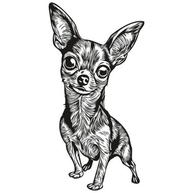 Chihuahua köpeği siyah-beyaz vektör logosu, çizgili sanat el çizimi vektör hayvan çizimi.