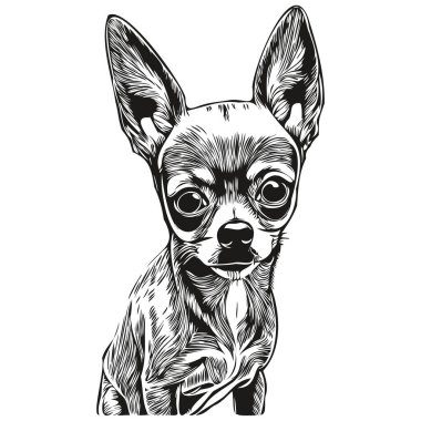 Chihuahua köpeği siyah-beyaz vektör logosu, çizgili sanat el çizimi vektör hayvan çizimi.