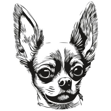 Chihuahua köpeği siyah-beyaz vektör logosu, çizgili sanat el çizimi vektör hayvan çizimi.