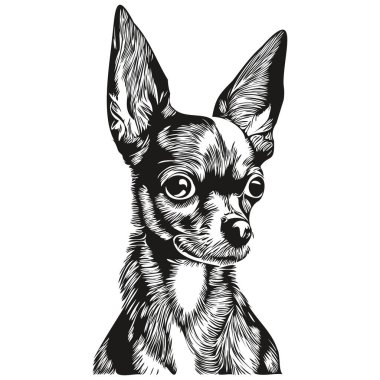 Chihuahua köpeği siyah-beyaz vektör logosu, çizgili sanat el çizimi vektör hayvan çizimi.