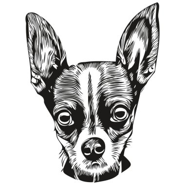 Chihuahua köpeği siyah-beyaz vektör logosu, çizgili sanat el çizimi vektör hayvan çizimi.