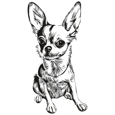 Chihuahua köpek eli çizilmiş sanat vektörü siyah beyaz logo hayvanları çiziyor.