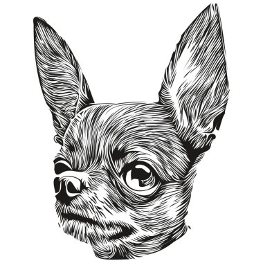 Chihuahua köpek eli çizilmiş sanat vektörü siyah beyaz logo hayvanları çiziyor.
