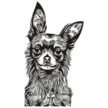 Chihuahua köpek eli çizilmiş sanat vektörü siyah beyaz logo hayvanları çiziyor.