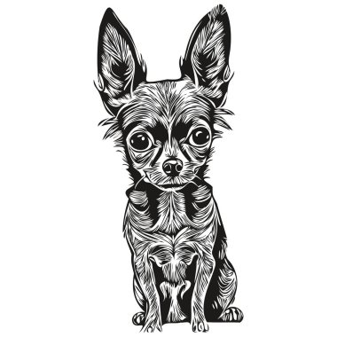 Chihuahua köpek çizgisi sanat el çizimi vektör logosu siyah ve beyaz evcil hayvan çizimi