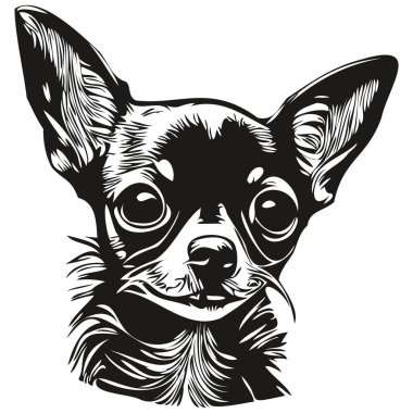 Chihuahua köpek logosu çizilmiş sanat vektörü siyah beyaz evcil hayvan çizimi
