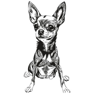 Chihuahua köpek logosu çizilmiş sanat vektörü siyah beyaz evcil hayvan çizimi