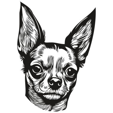 Chihuahua köpek logosu çizilmiş sanat vektörü siyah beyaz evcil hayvan çizimi