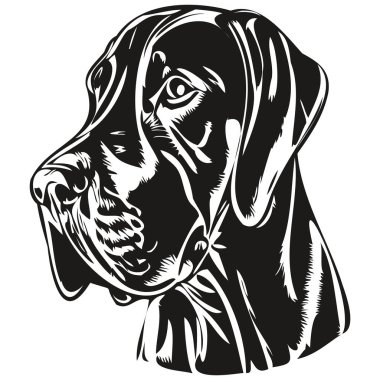 Danua köpek vektör illüstrasyonu, el çizimi sanat hayvanları logosu siyah ve whit