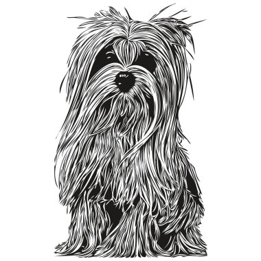 Malta köpek vektör illüstrasyonu, el çizimi sanat hayvanları logosu siyahı ve whit