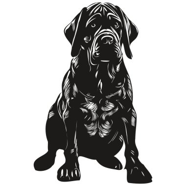 Mastiff köpek eli çizilmiş sanat vektörü siyah-beyaz logo hayvanları çizimi çizimi