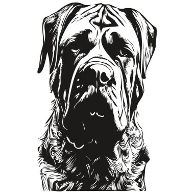 Mastiff köpek eli çizilmiş sanat vektörü siyah-beyaz logo hayvanları çizimi çizimi