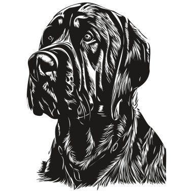 Mastiff köpek logosu. El çizimi sanat vektörü. Siyah ve beyaz evcil hayvan çizimi.