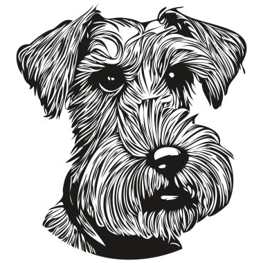 Minyatür Schnauzer köpek siyah-beyaz vektör logosu, çizgi sanatı el çizimi vektör hayvan grafiği
