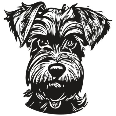 Minyatür Schnauzer köpek eli çizilmiş çizgili sanat vektörü siyah-beyaz logo hayvanları grafiği
