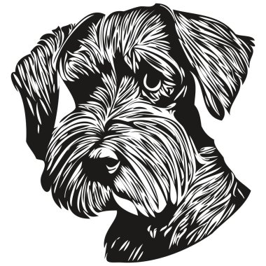Minyatür Schnauzer köpek çizgisi sanat el çizimi vektör logosu siyah ve beyaz evcil hayvan çizimi