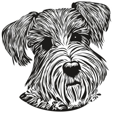 Minyatür Schnauzer köpek çizgisi sanat el çizimi vektör logosu siyah ve beyaz evcil hayvan çizimi