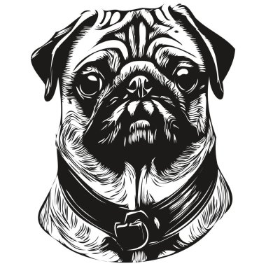 Pugs köpek eli çizilmiş sanat vektörü siyah beyaz logo hayvanları grafiği çiziyor