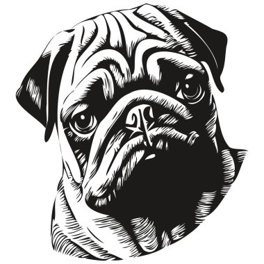 Pugs köpek eli çizilmiş vektör çizimi siyah beyaz logo hayvanları çizimi