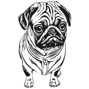 Pugs köpek eli çizilmiş vektör çizimi siyah beyaz logo hayvanları çizimi